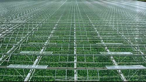 食品供应链的追溯方法