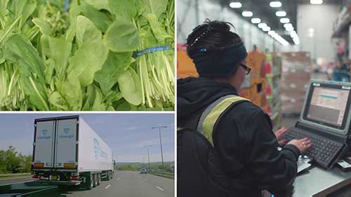 构建高效食品供应链