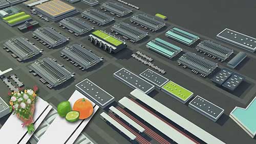 法国Rungis农产品市场