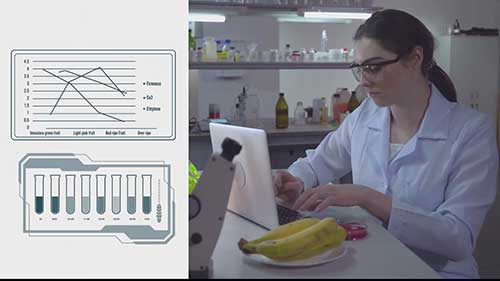 一项新型水果检测技术