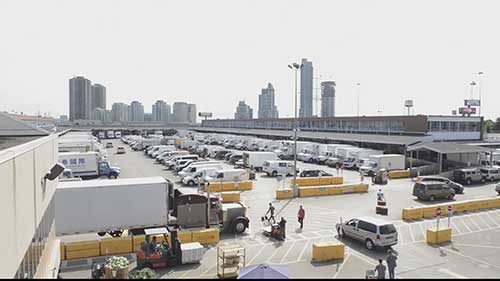 农产品批发和出口