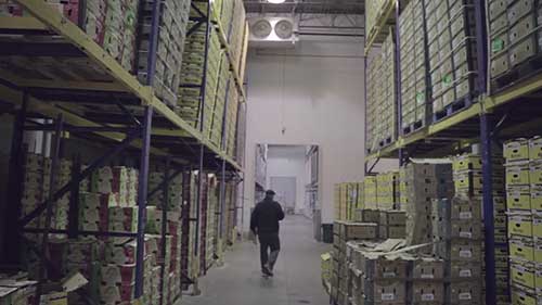 芝加哥的农产品供应商