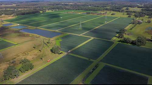 Grimes农产品公司