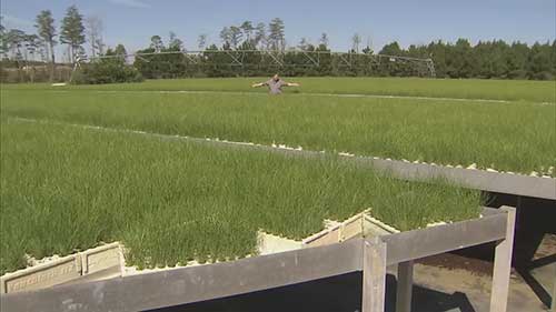 佐治亚的一座生鲜农场