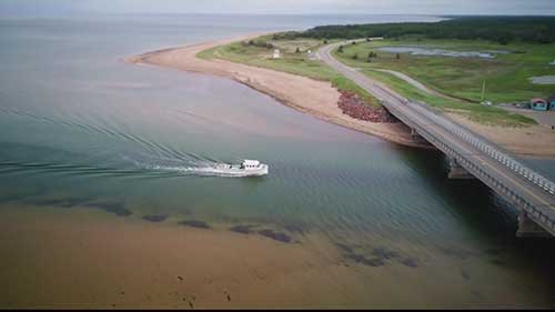 加拿大牛肉供应链