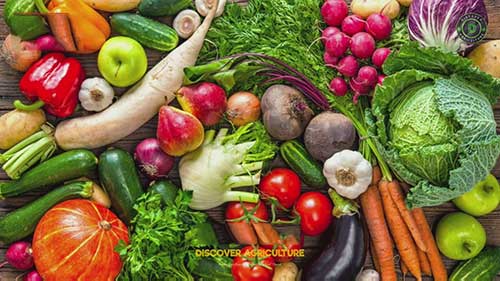 供需如何影响农民的盈利能力