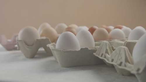 英国的鸡蛋行业