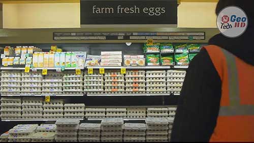 现代鸡蛋养殖和加工技术