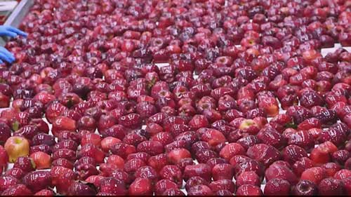 农产品销售方式