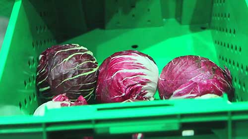 高效的生鲜供应链