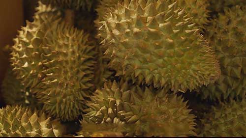 榴莲，从印尼走向世界