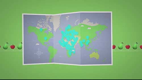 苹果和梨的种植与销售