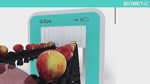 水果质量扫描仪