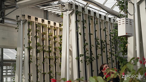 温室内的空气循环