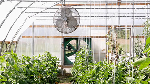 温室的通风系统