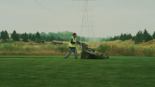 园林建设和社区环境