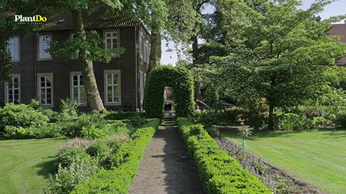 常见的花园观赏树木