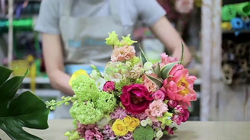 如何种植花卉并获利