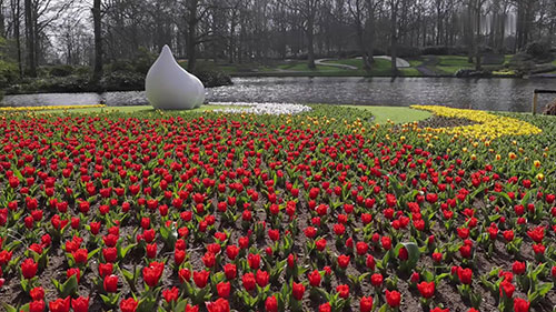 荷兰库肯霍夫花园