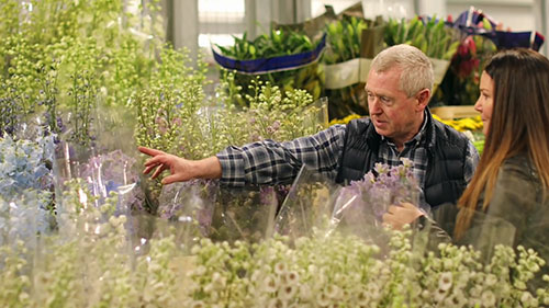 伦敦新考文特花园市场