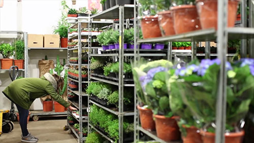 新考文特花园的花店