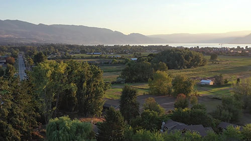 Casa Verde花卉农场