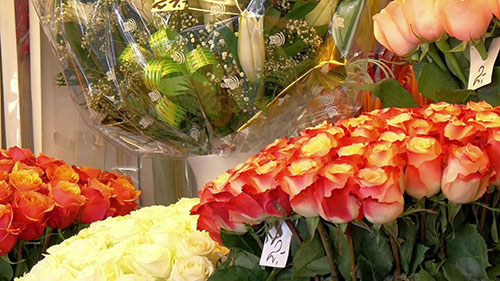 如何开设网上花店