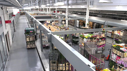 全新的考文特花园花卉市场