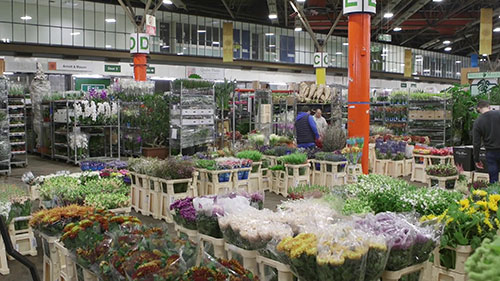 考文特花园的花卉批发