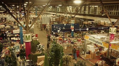 在考文特花园卖花