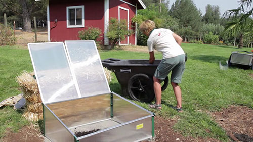 冷床和花卉种植