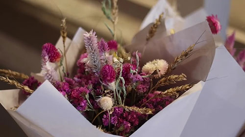 学习花卉种植的知识