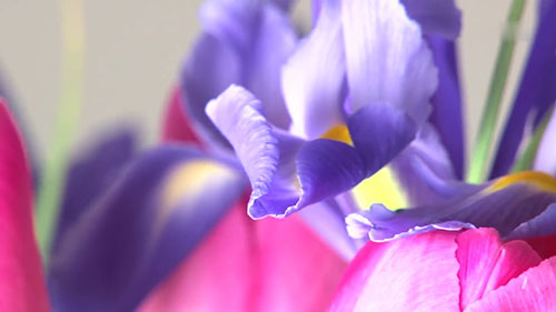 关于网上订购鲜花