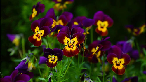 5个常见的苗圃运营错误