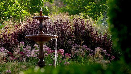 选择你的观赏草 1