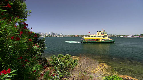 探访悉尼精品花园