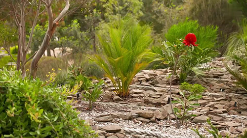 探访英国皇家植物园