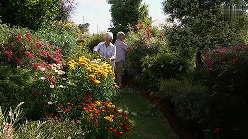 一座澳洲本土花园