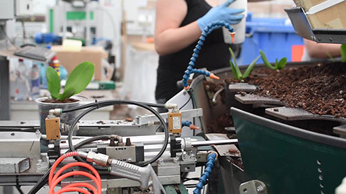 全自动兰花生产温室