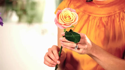 如何让玫瑰更快的开花