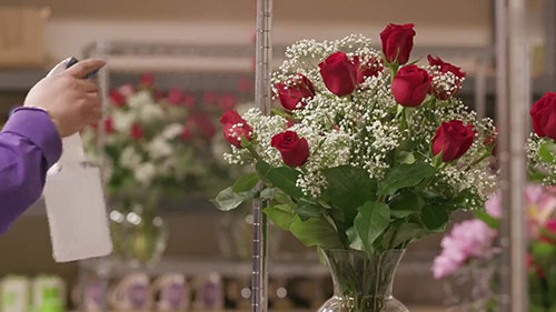 鲜花界的亚马逊网