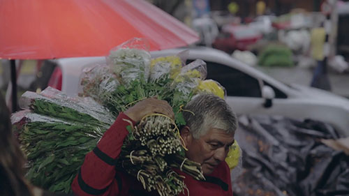哥伦比亚麦德林鲜花节
