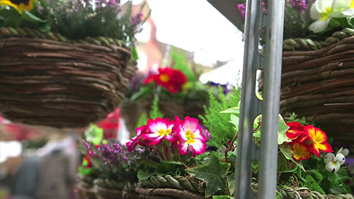 伦敦的城市花卉瑰宝