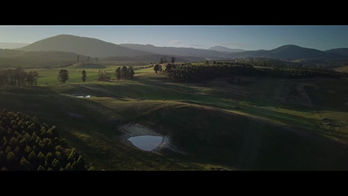 塔斯马尼亚的薰衣草庄园