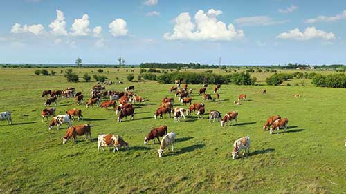 5G如何应用于农业