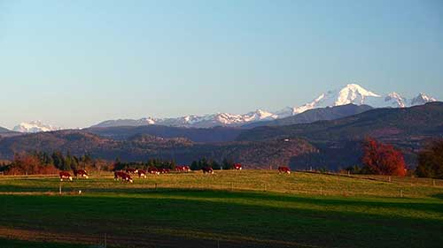 电子围栏设备选购