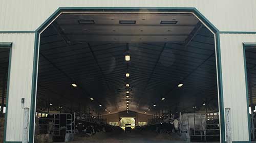 奶牛场的新技术