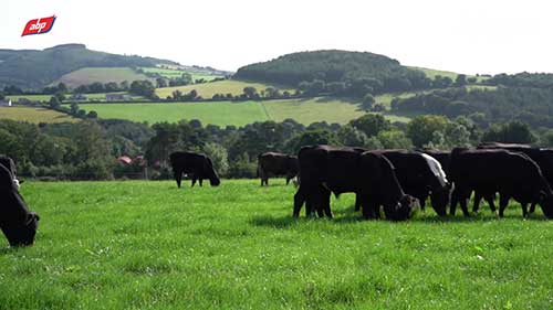 提高农场的可持续性