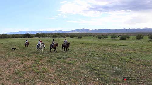 养牛场的可持续发展