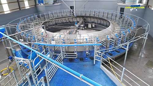 世界上最高效的挤奶系统